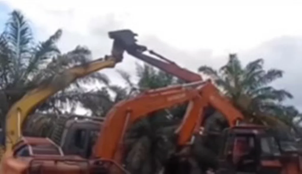 The Real Adu Mekanik! 3 Ekskavator Duel di Kebun Sawit Bak Transformers