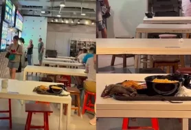 VIRAL Tikus Tergeletak di Nampan Makanan Restoran di Singapura, Pengunjung Histeris