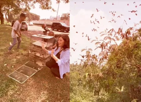 VIRAL Wanita Borong Burung dari Pedagang Untuk Dilepaskan ke Alam, Malah Tua Pro Kontra