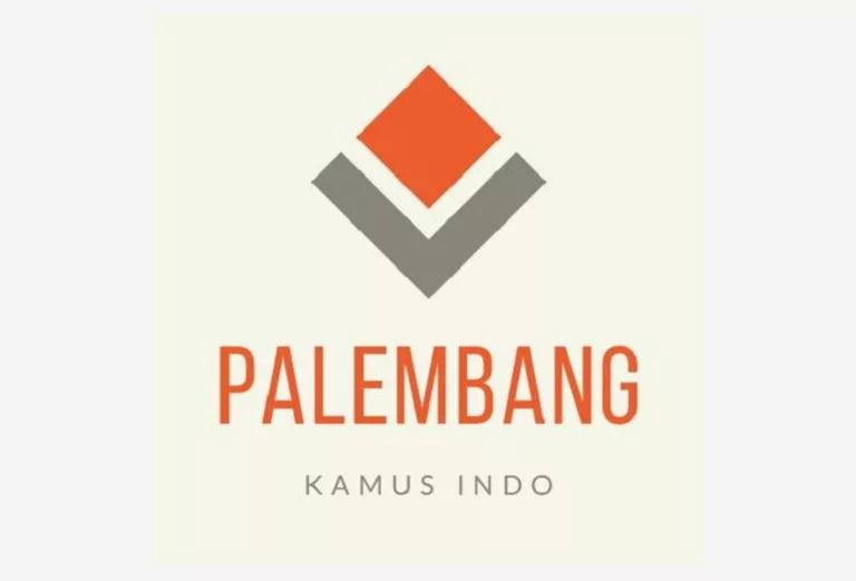 Aplikasi translate bahasa Palembang
