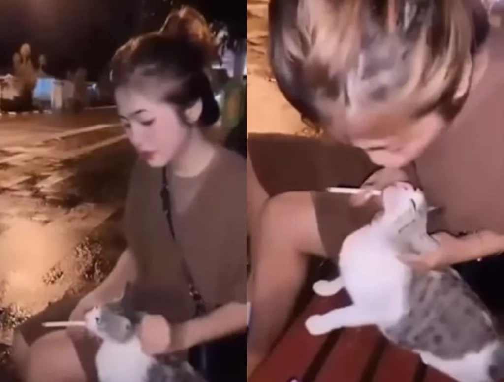 VIRAL Aksi Wanita Paksa Beri Rokok ke Kucing, Auto Kicep Didatangi Polisi